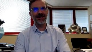 What do we know about acute lymphoblastic leukemia development and treatment?