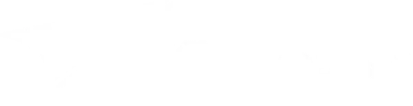 Kite